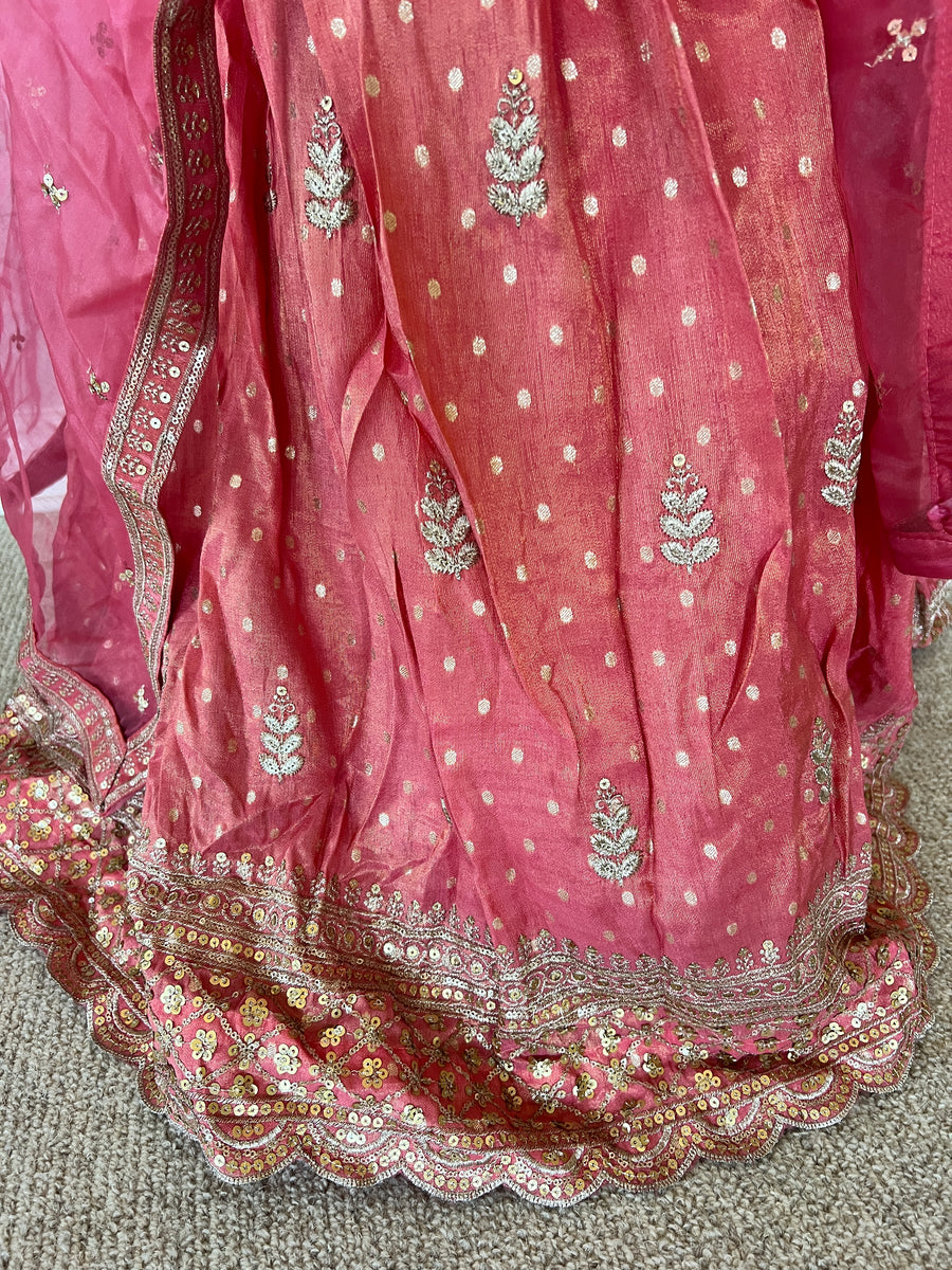 Pink/Gold 3-Piece Outfit (worn once)